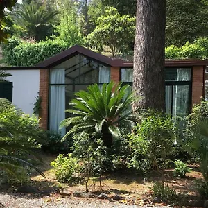 https://il-nido-della-vecchiona-by-the-sea-in-the-green-with-a-c.hotelitalianriviera.com
